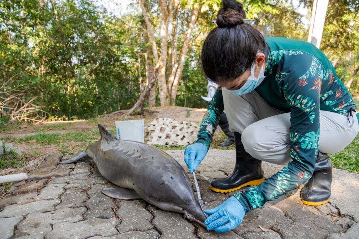 kuresel-isinmanin-cevreye-dogaya-deniz-canlilarina-zararlari-neler-4