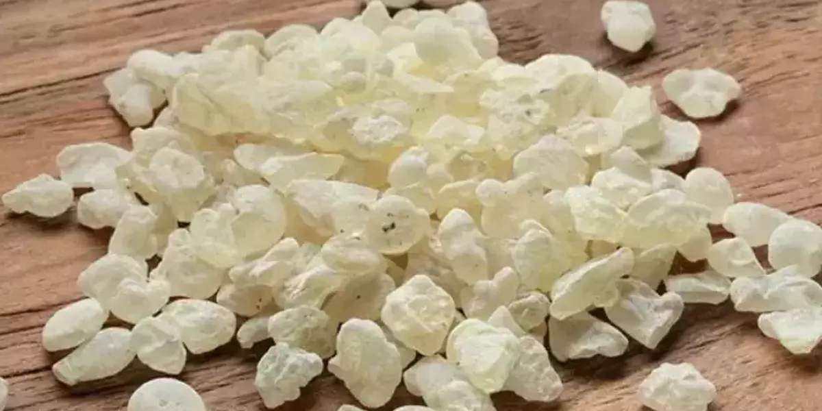 ender-sarac-ustune-basa-basa-onerdi-bunu-yiyen-mankenlere-tas-cikartir-1