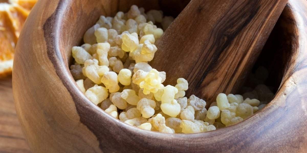 ender-sarac-ustune-basa-basa-onerdi-bunu-yiyen-mankenlere-tas-cikartir