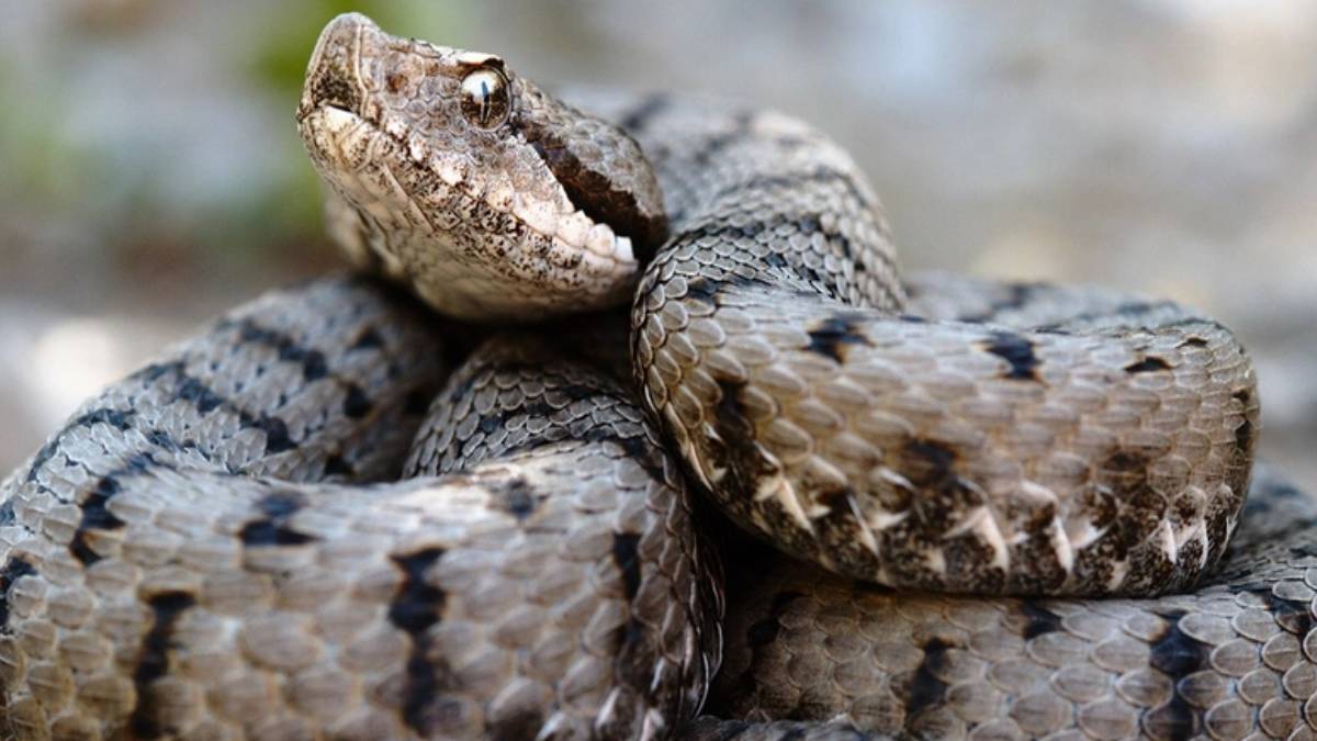 hghghg-2023-10-06t111332-151