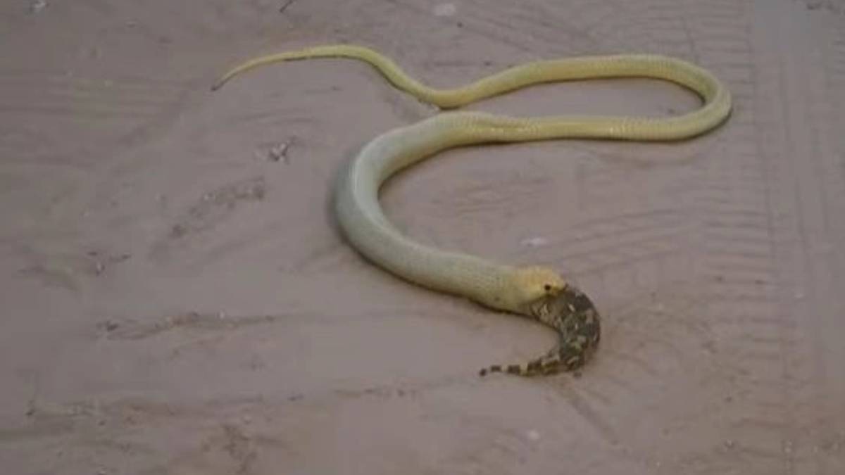 kjkjkj-2023-10-06t092457-628