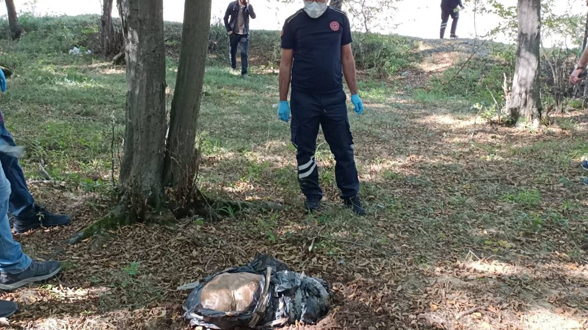 cocuk-cesedi-sandilar-kopek-lesi-cikti-2