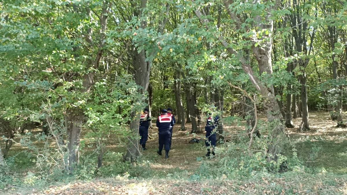 cocuk-cesedi-sandilar-kopek-lesi-cikti-4