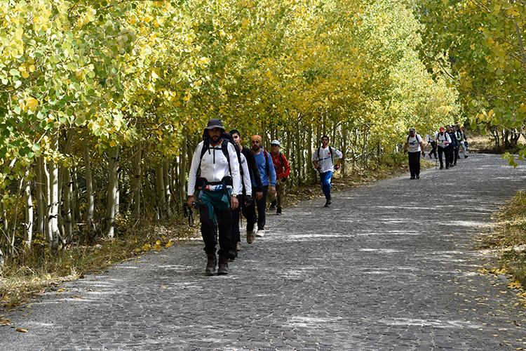 009-2023-03-2023-24-ekim-16-20231009-2-60608956-93490045