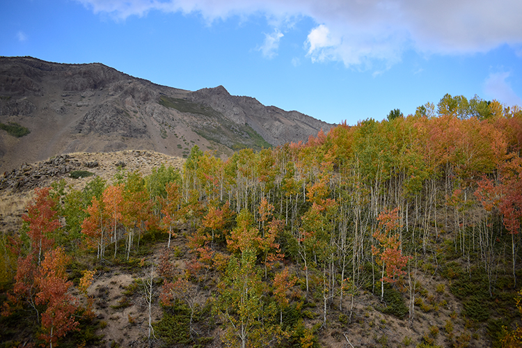 009-2023-03-2023-24-ekim-16-20231009-2-60608956-93490047