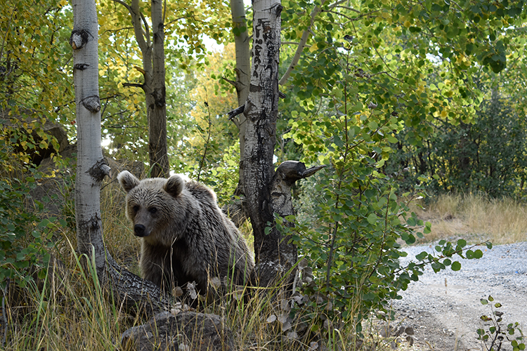 009-2023-03-2023-24-ekim-16-20231009-2-60608956-93490050