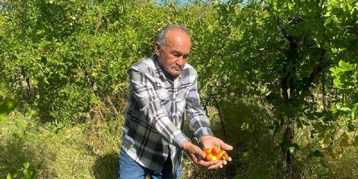 hunnap-yiyor-hastane-yuzu-gormuyor