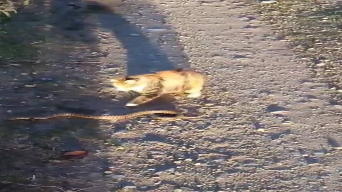 hgghgh-2023-10-12t130119-101