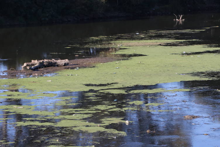 20231012-2-60657701-93578876