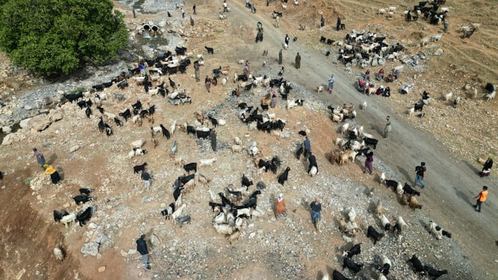 6527981aab930266-w1200xh675