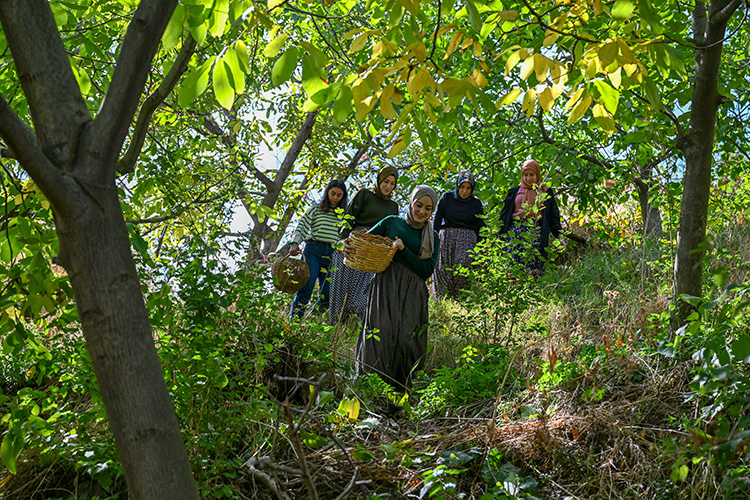 10-2023-15102023-van2