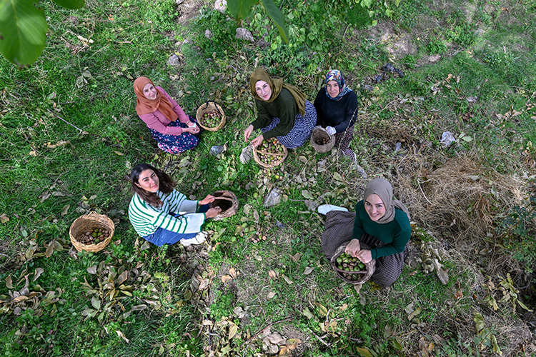 10-2023-15102023-van3