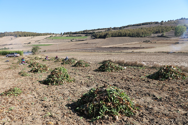 009-2023-03-2023-21-ekim-14-20231016-2-60725893-93723898