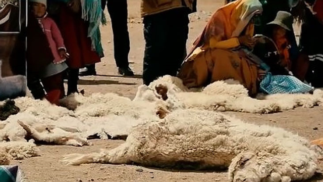 koyu-renkli-ve-2-bacakli-tarlada-drone-a-16014810-6873-m