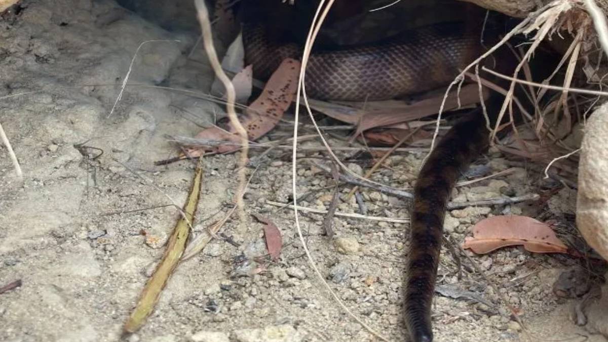 gfgfgf-2023-10-19t140921-576