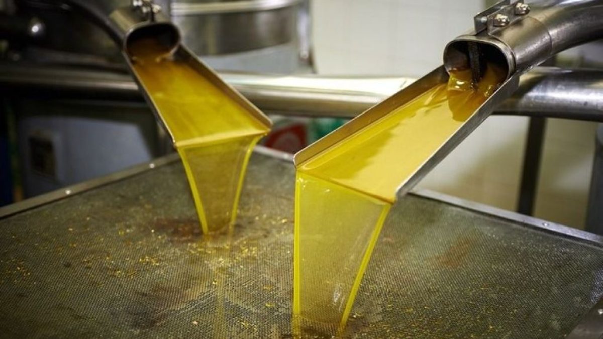 zeytinyagi2-1200x675