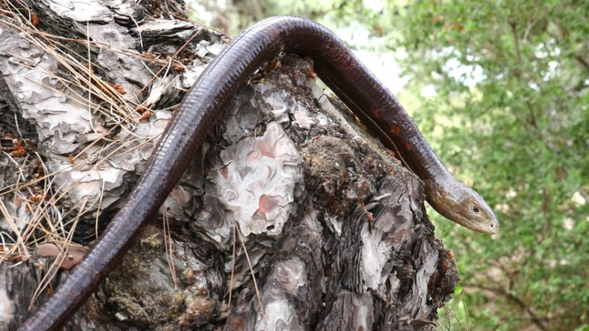 a2-2023-10-20t092949-193