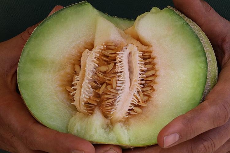 08-nisan-05-eylul-03-aa-32461974