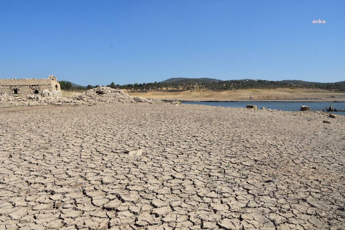 bodrum-barakjlari-doluluk-seviyesi-1