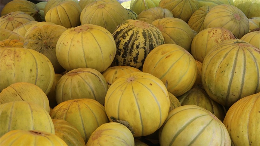 thumbs-b-c-658c27640dc46c6c3cce37418d085066