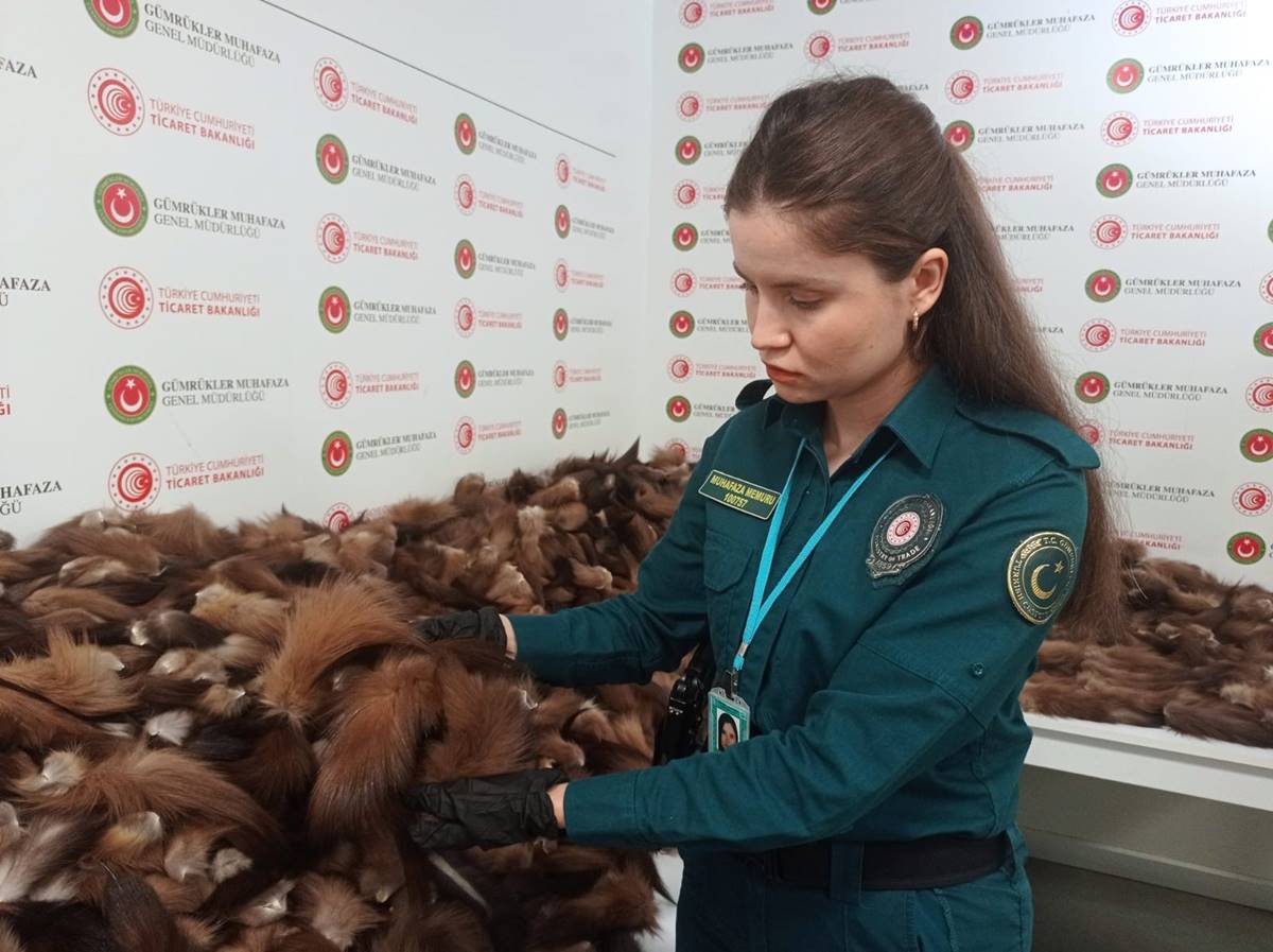 tilki-kuyrugu-ne-ise-yarar-2-001