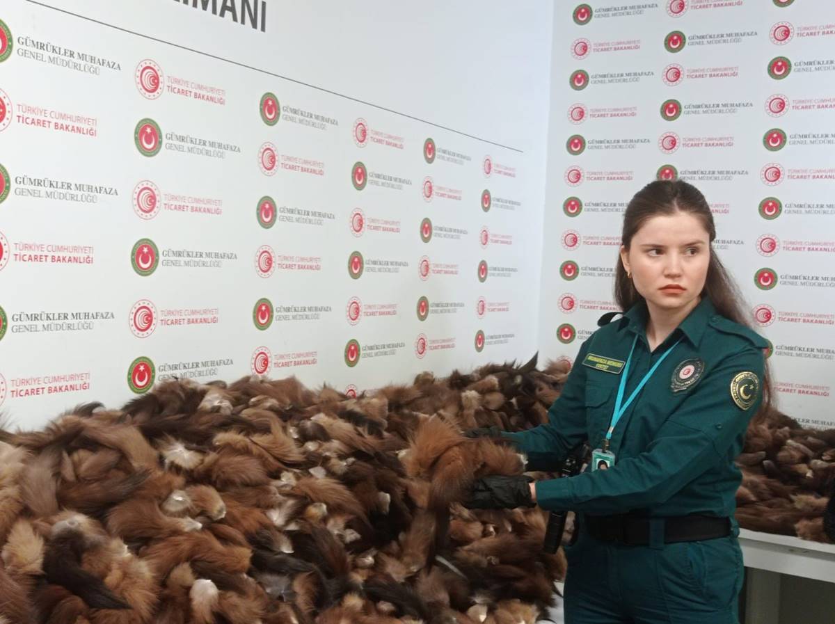 tilki-kuyrugu-ne-ise-yarar-3-001