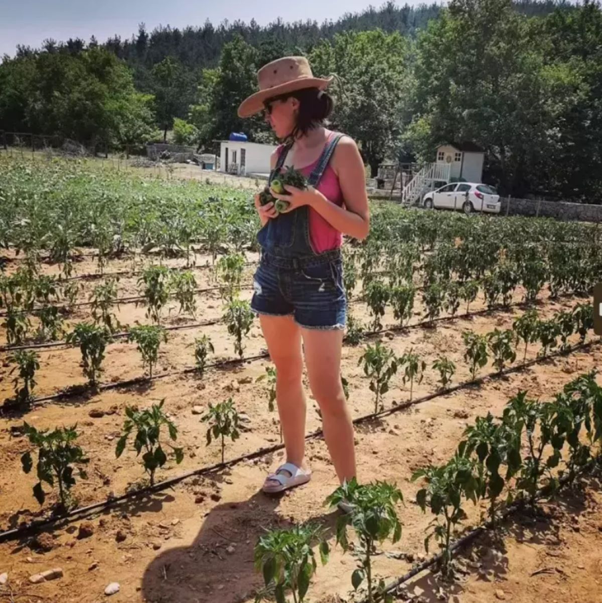 capture-20231021204052080