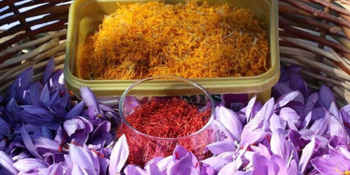 safran-bitkisi-ne-ise-yarar-1