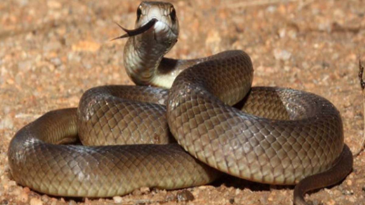 hghggh-2023-10-24t112206-227