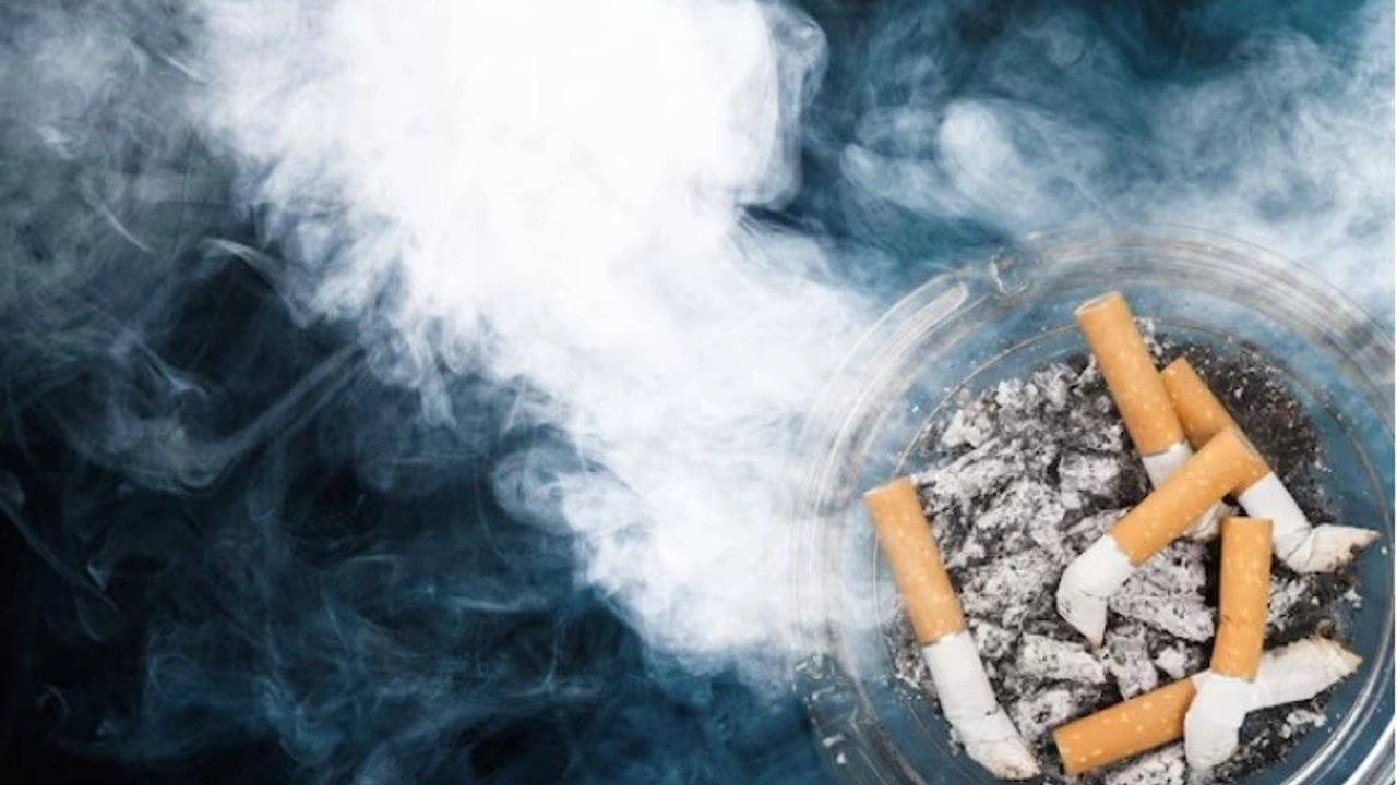 sondurulmeyen-sigara-izmariti-evi-yakti-975876-001