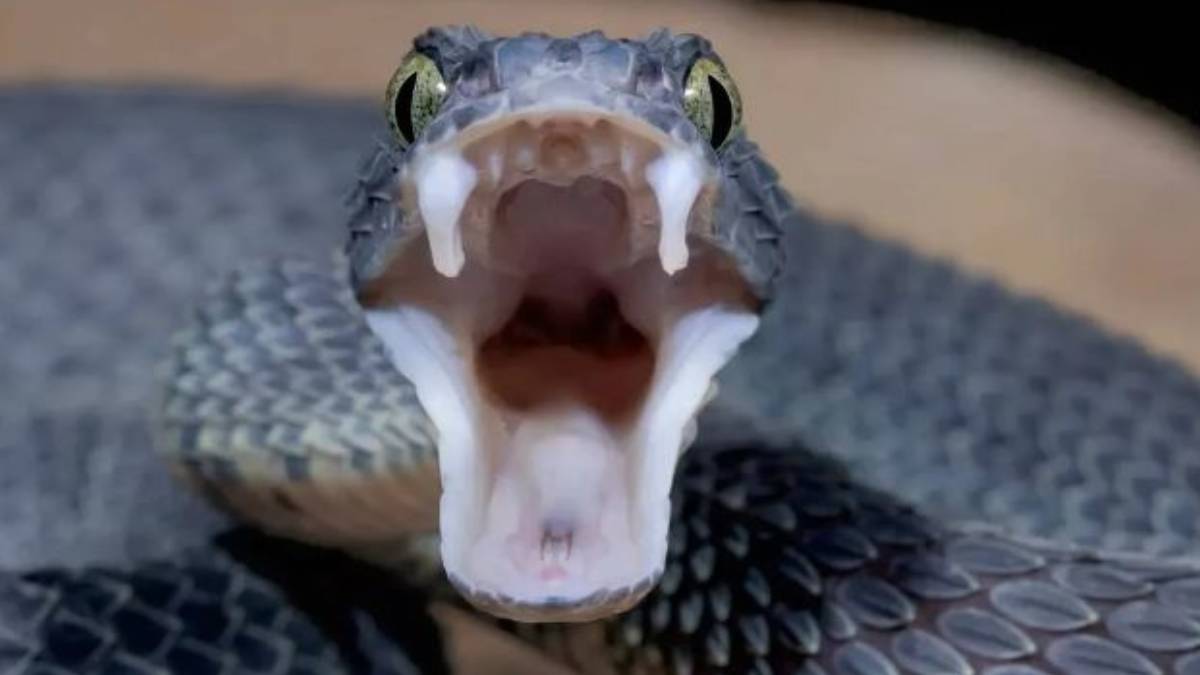 ghhggh-2023-10-25t121544-885