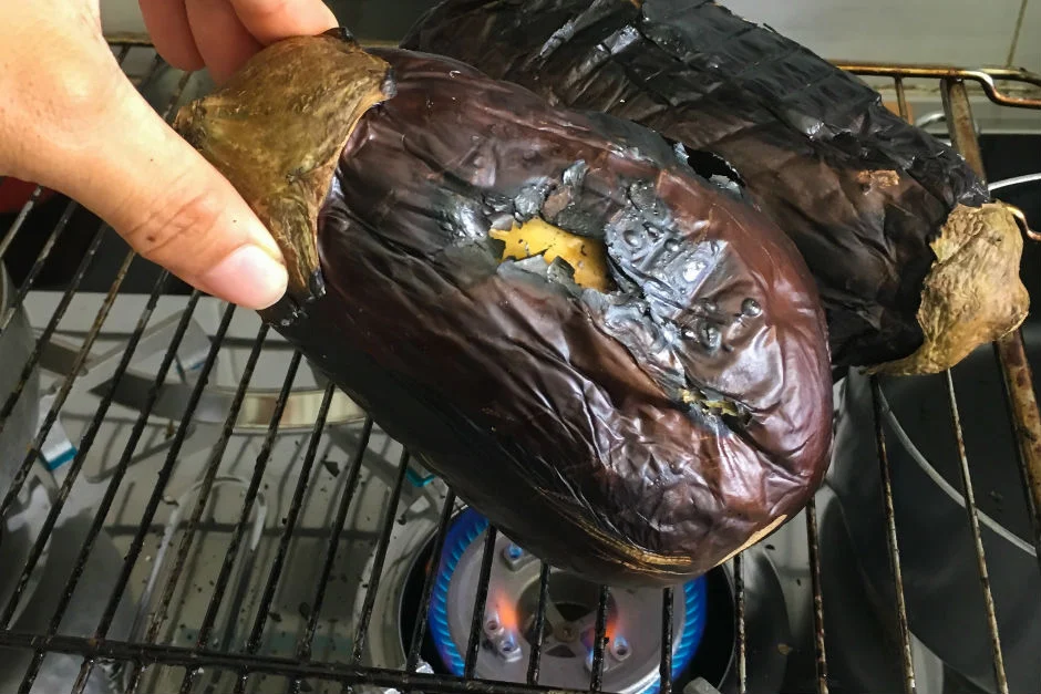 patlican-nasil-kozlenir-4