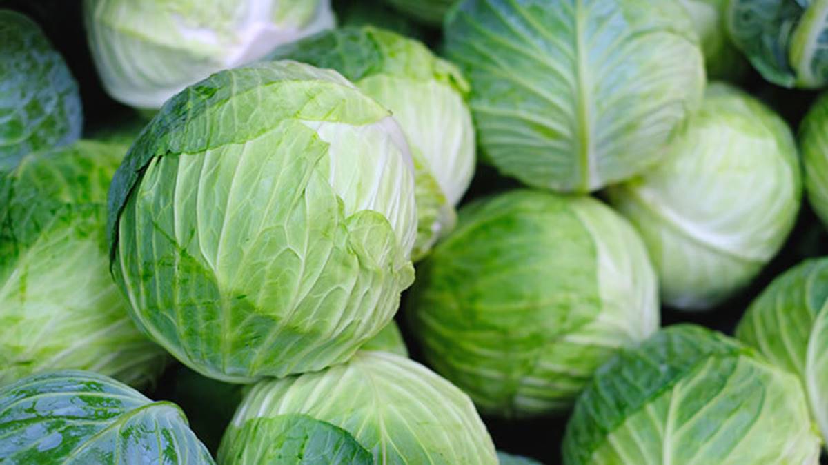 beyaz-lahananin-faydalari