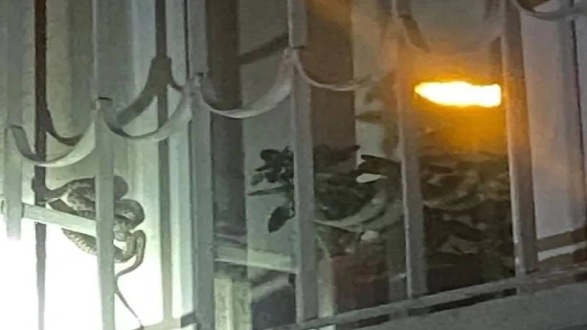 gfgfgf-2023-10-29t124815-268