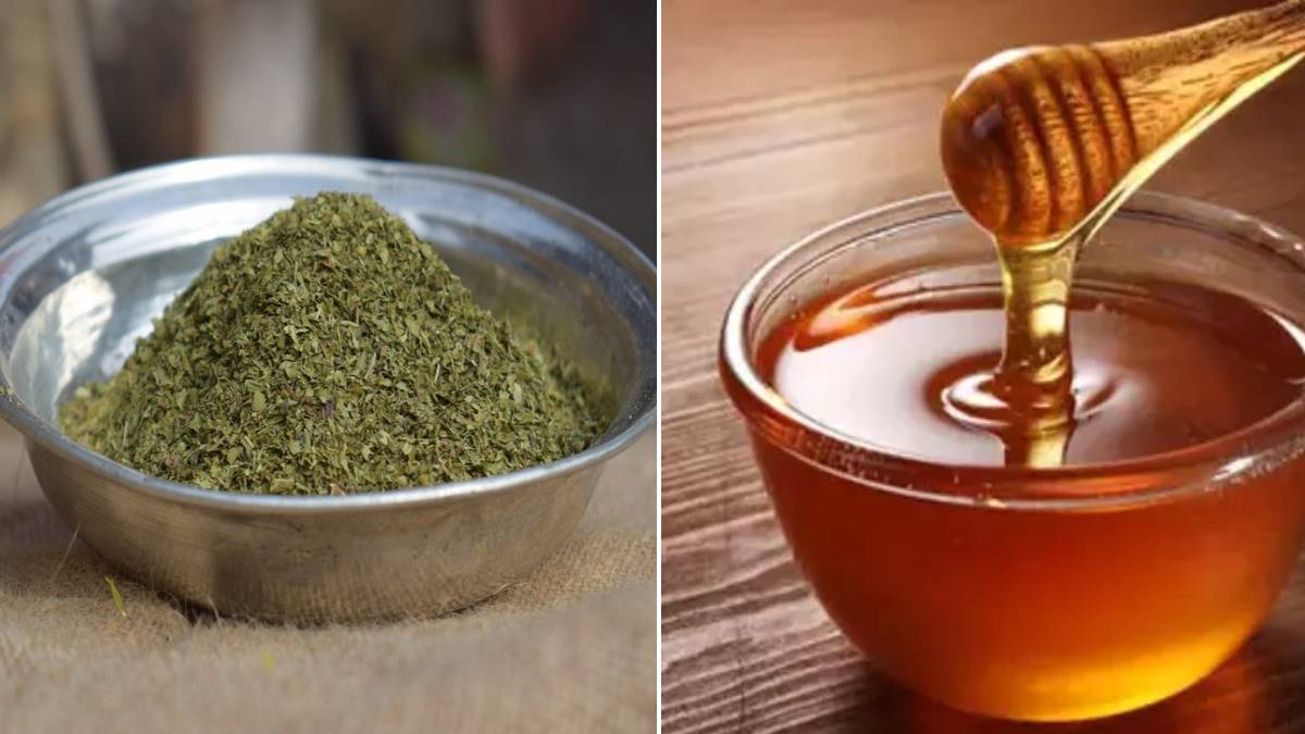 gfgfgf-2023-10-29t220626-150