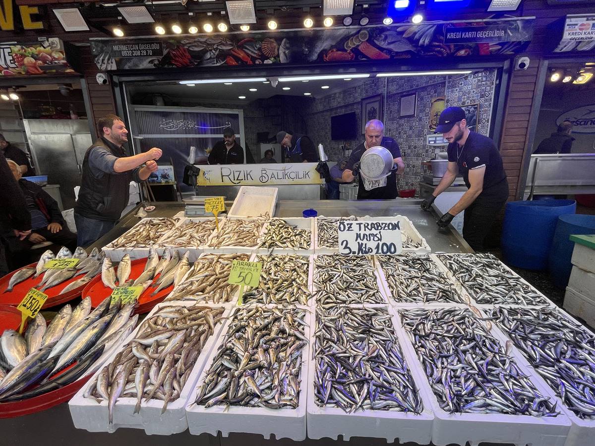 hamsinin-kilosu-ne-kadar-oldu-2