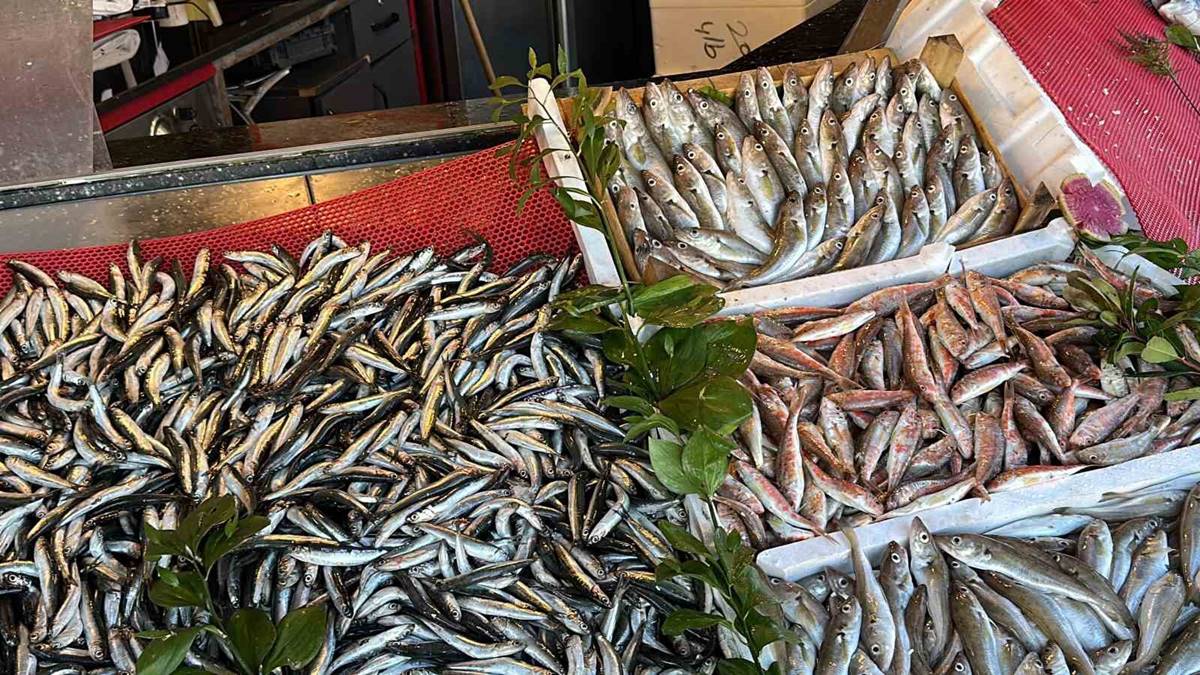 hamsinin-kilosu-ne-kadar-oldu-3