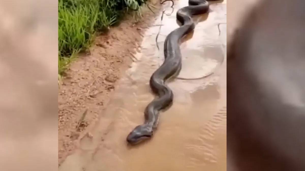 hghghg-2023-10-29t094307-419