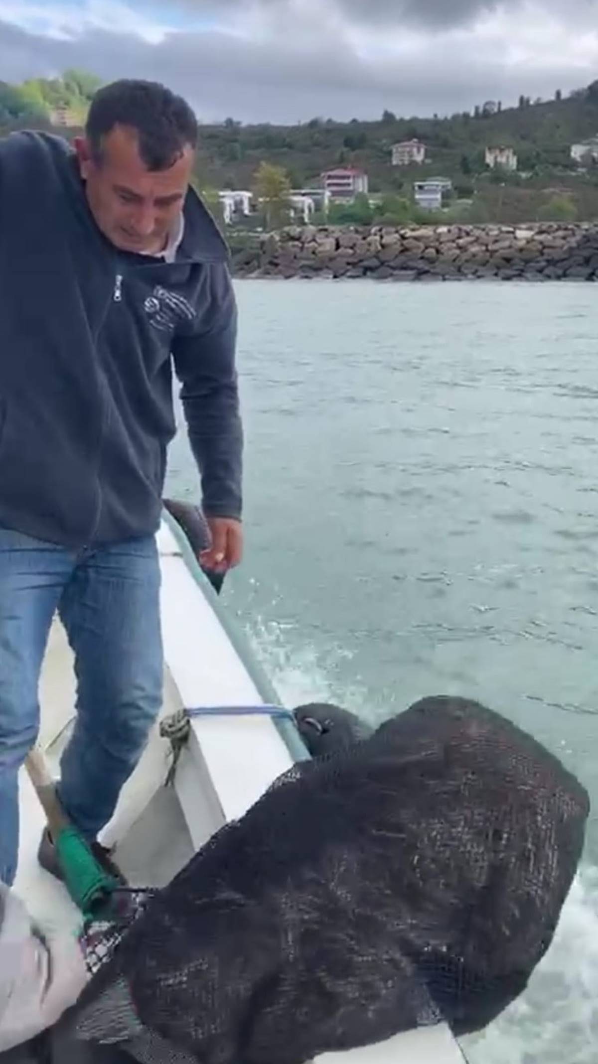 balikcilarin-agina-balik-degil-yavru-ayi-takildi-3