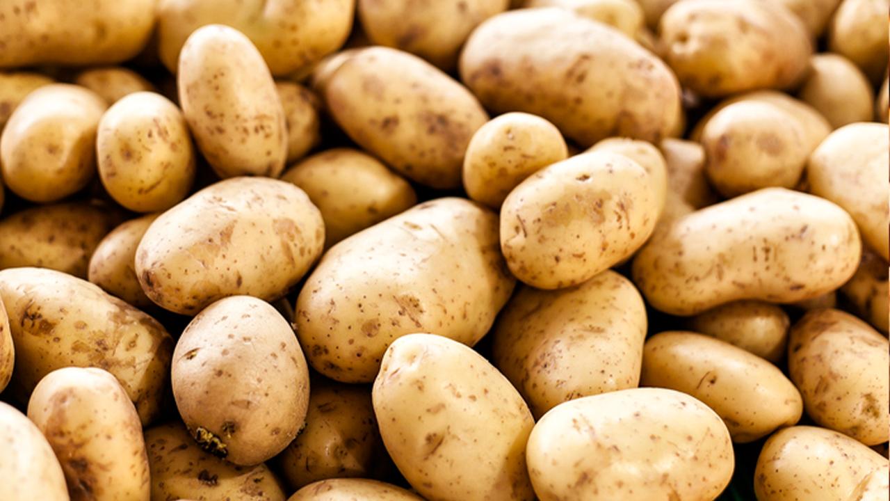 patates-1554950.jpg