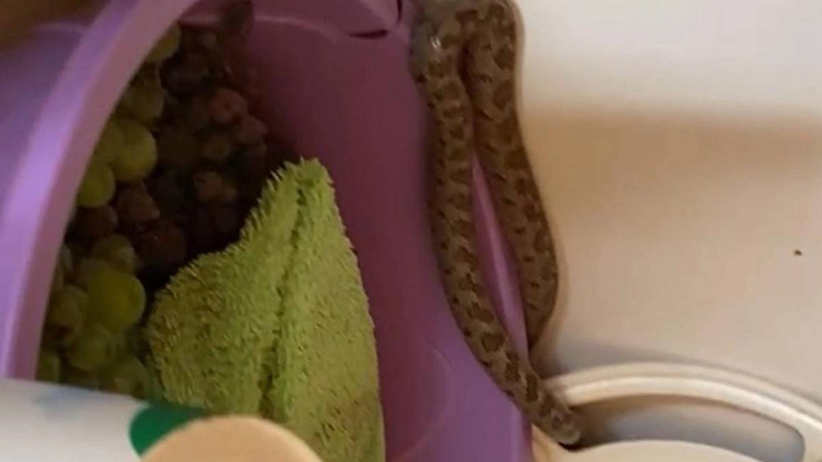 gfgfgf-2023-11-01t020828-682