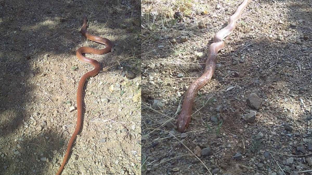 hghghg-2023-11-01t005943-534