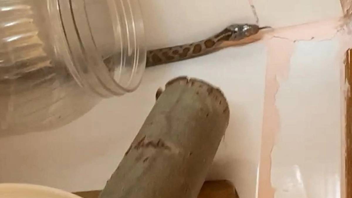 hghghg-2023-11-01t020843-067