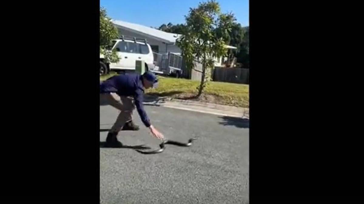 fggfgf-2023-11-02t225441-592