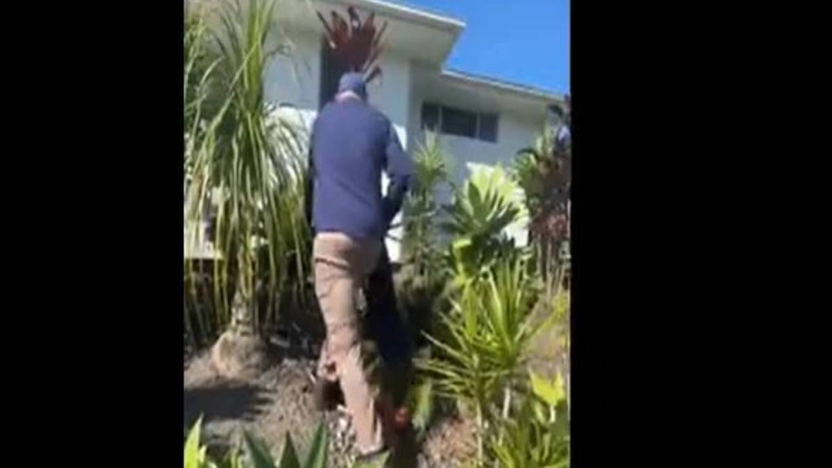 gfgfgf-2023-11-02t225459-619