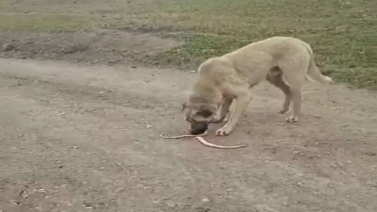 gfgfgf-2023-11-02t232001-257