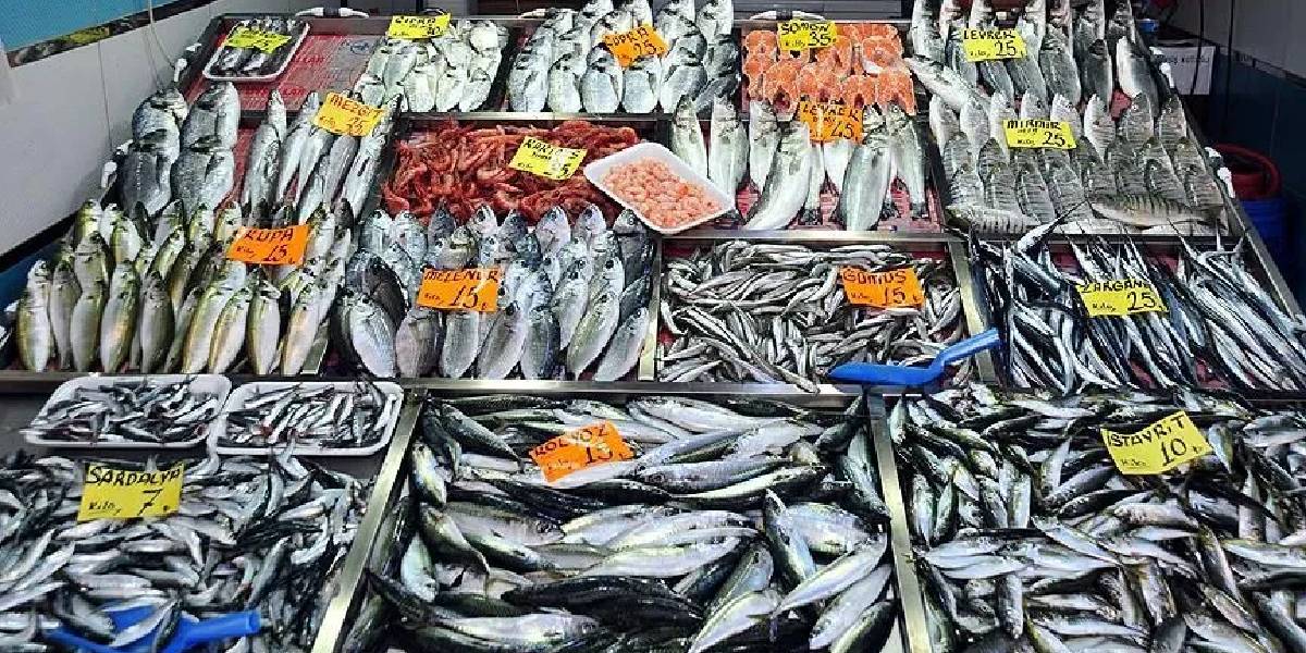 balikta-vhs-virusu-3