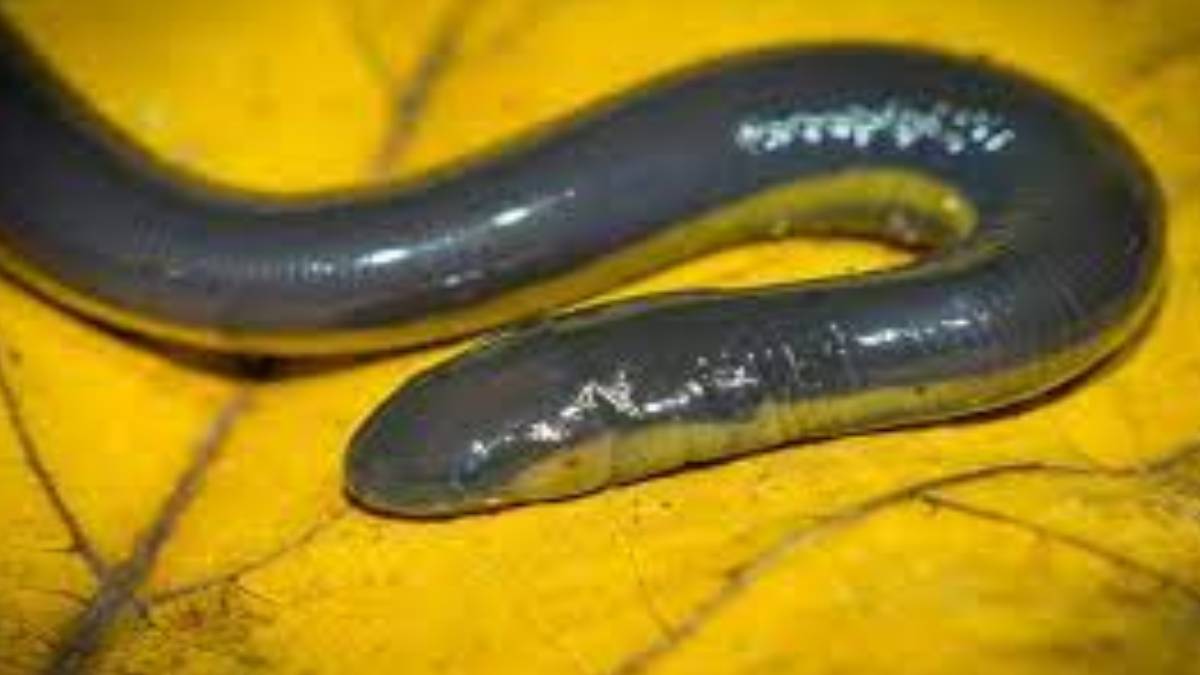 gfgfgf-2023-11-03t141308-462