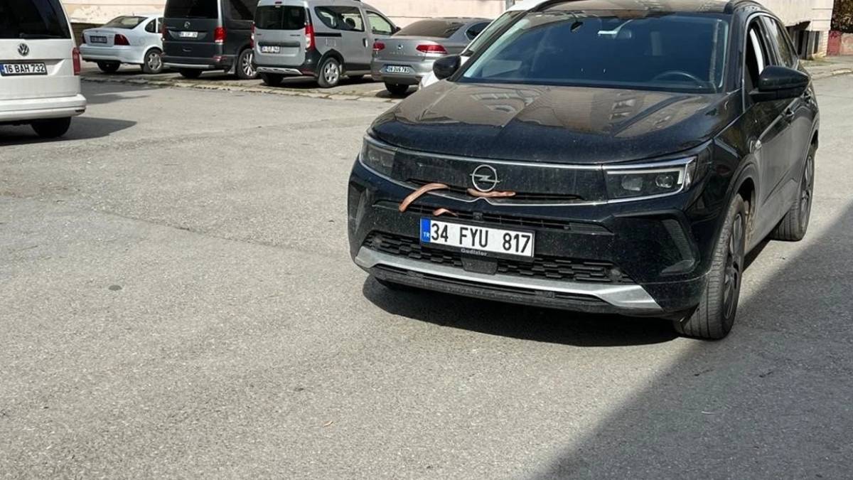 gfgfgf-2023-11-04t163250-864