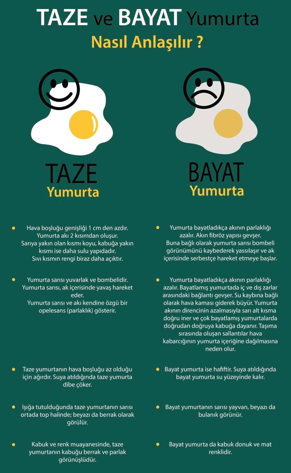 taze-yumurta-nasil-anlasilir-2